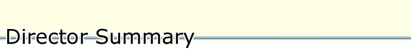 Director Summary